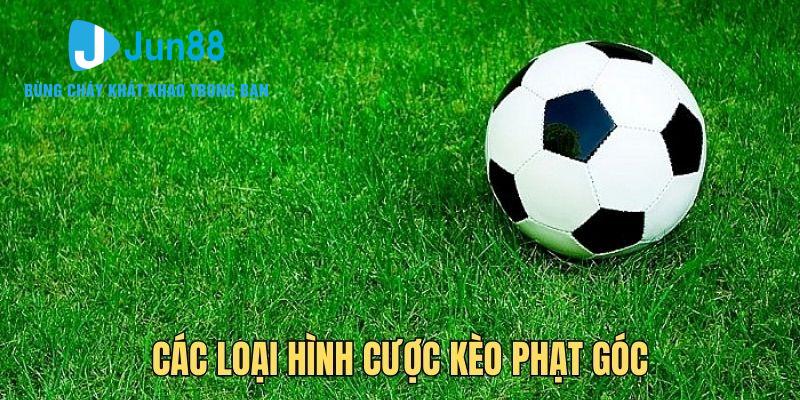 cac-loai-hinh-cuoc-keo-phat-goc Những loại hình cược kèo phạt góc hiện nay