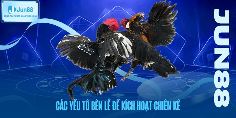 cac-yeu-to-ben-le-de-kich-hoat-chien-ke Các yếu tố bên lề để kích hoạt chiến kê