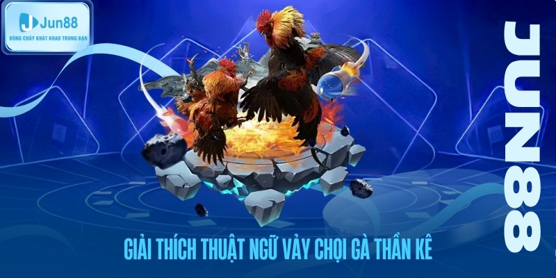 giai-thich-thuat-ngu-vay-choi-ga-than-ke Giải thích thuật ngữ vảy chọi gà thần kê