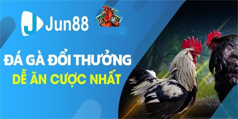 Trực tiếp Đá Gà Jun88