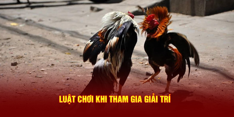 truc-tiep-da-ga-online-trai-nghiem-hap-dan-va-co-hoi-kiem-tien-dinh-nhat-tai-nha-cai-jun88-686e71b42b064 Trực tiếp đá gà online - Trải Nghiệm Hấp Dẫn Và Cơ Hội Kiếm Tiền Đỉnh Nhất Tại Nhà Cái Jun88