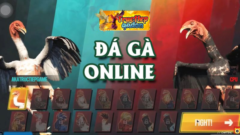 truc-tiep-da-ga-online-trai-nghiem-hap-dan-va-co-hoi-kiem-tien-dinh-nhat-tai-nha-cai-jun88-686e71b449125 Trực tiếp đá gà online - Trải Nghiệm Hấp Dẫn Và Cơ Hội Kiếm Tiền Đỉnh Nhất Tại Nhà Cái Jun88