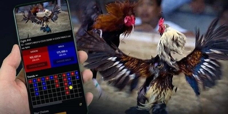 truc-tiep-da-ga-online-trai-nghiem-hap-dan-va-co-hoi-kiem-tien-dinh-nhat-tai-nha-cai-jun88-686e71b4577c4 Trực tiếp đá gà online - Trải Nghiệm Hấp Dẫn Và Cơ Hội Kiếm Tiền Đỉnh Nhất Tại Nhà Cái Jun88