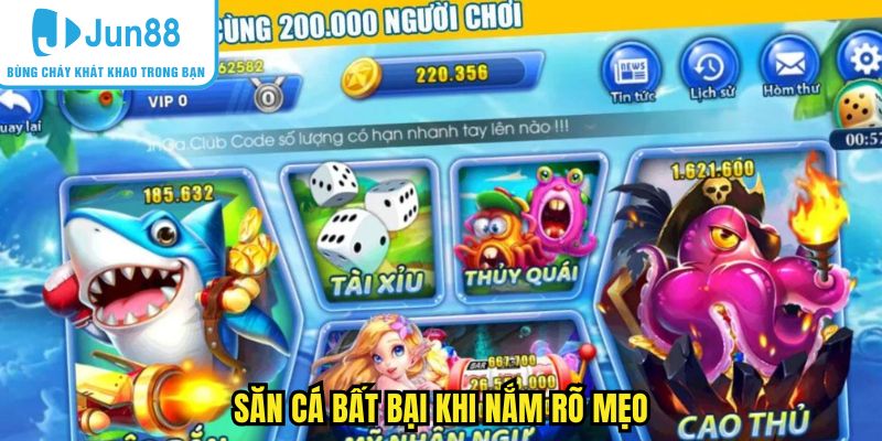 vua-hai-tac-meo Săn cá bất bại khi nắm rõ mẹo